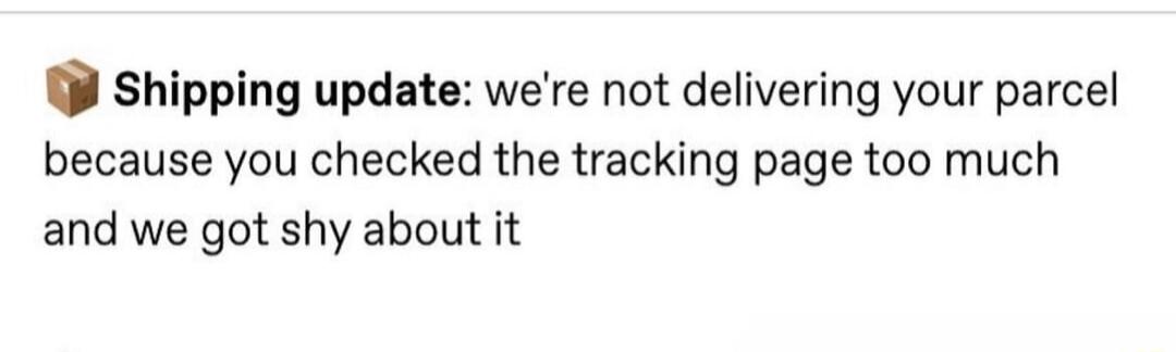 Shipping update were not delivering your parcel because you checked the tracking page too much and we got shy about it