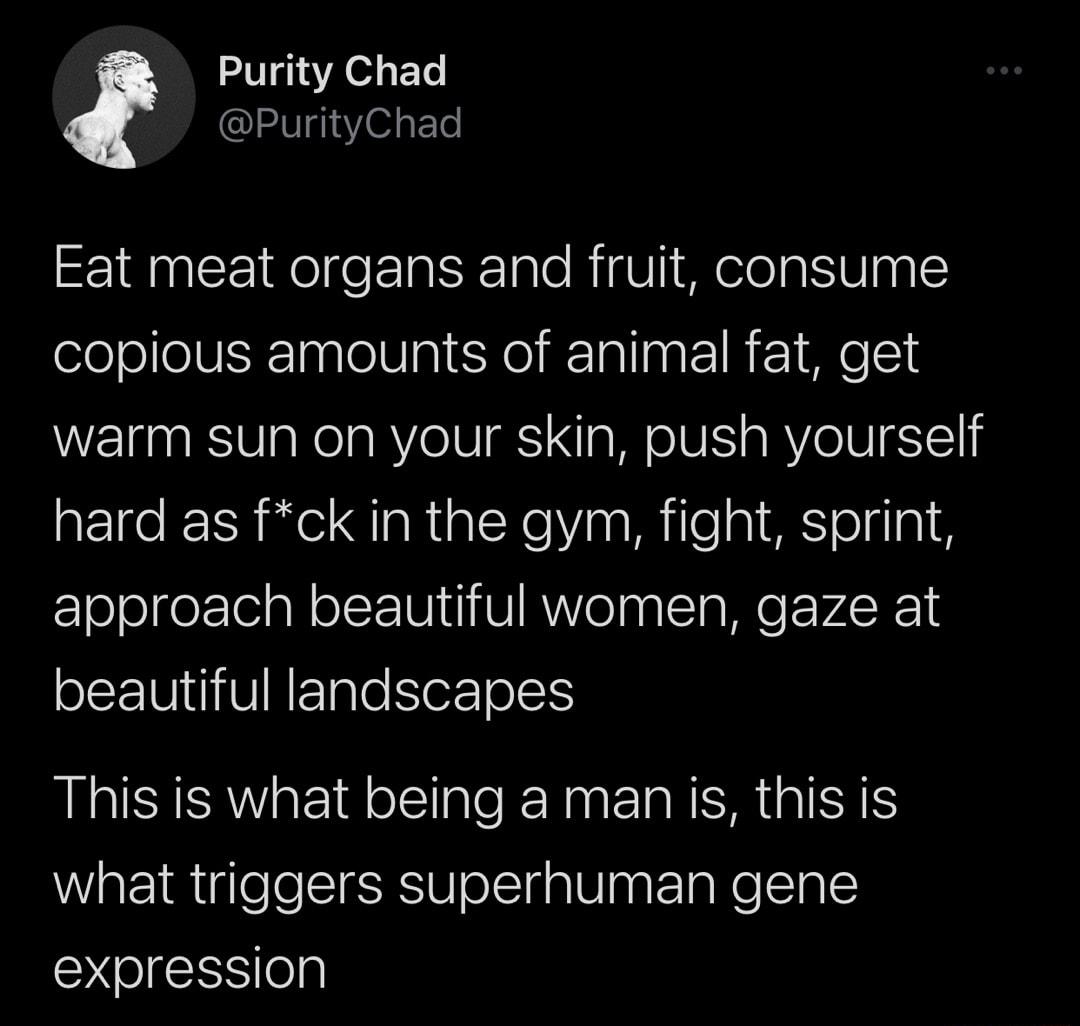 l Purity Chad PurityChad Eat meat organs and fruit consume copious amounts of animal fat get warm sun on your skin push yourself hard as fck in the gym fight sprint approach beautiful women gaze at beautiful landscapes This is what being a manis this is what triggers superhuman gene expression