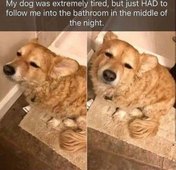 WO ele RUERRD UM NA U Ao NGV 8 g T D R o follow me into the bathroom in the middle of the night