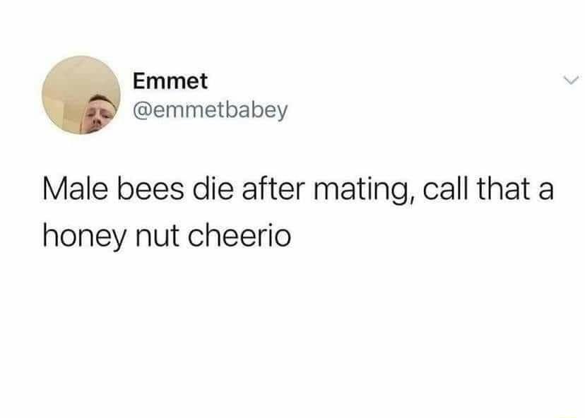 Emmet emmetbabey Male bees die after mating call that a honey nut cheerio