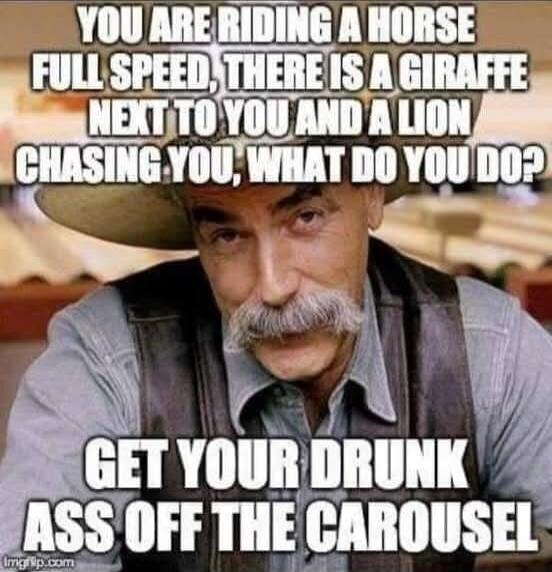 YOU ARE RIDING A HORSE FULL SPEED, THERE IS A GIRAFFE NEXT TO YOU AND A LION CHASING YOU, WHAT DO YOU DO? GET YOUR DRUNK ASS OFF THE CAROUSEL