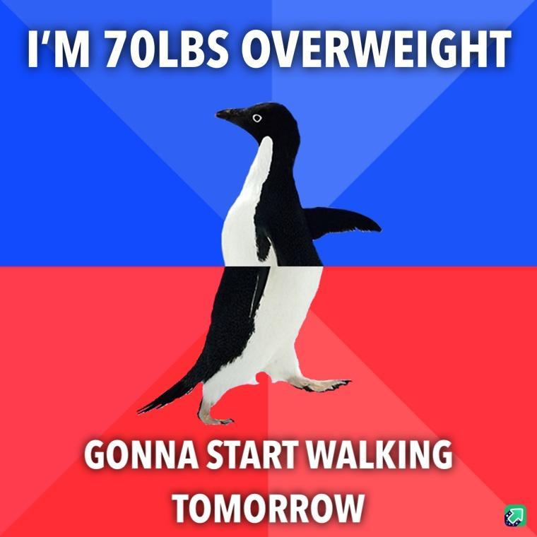 IM 70LBS OVERWEIGHT GONNA START WALKING 0 00 a