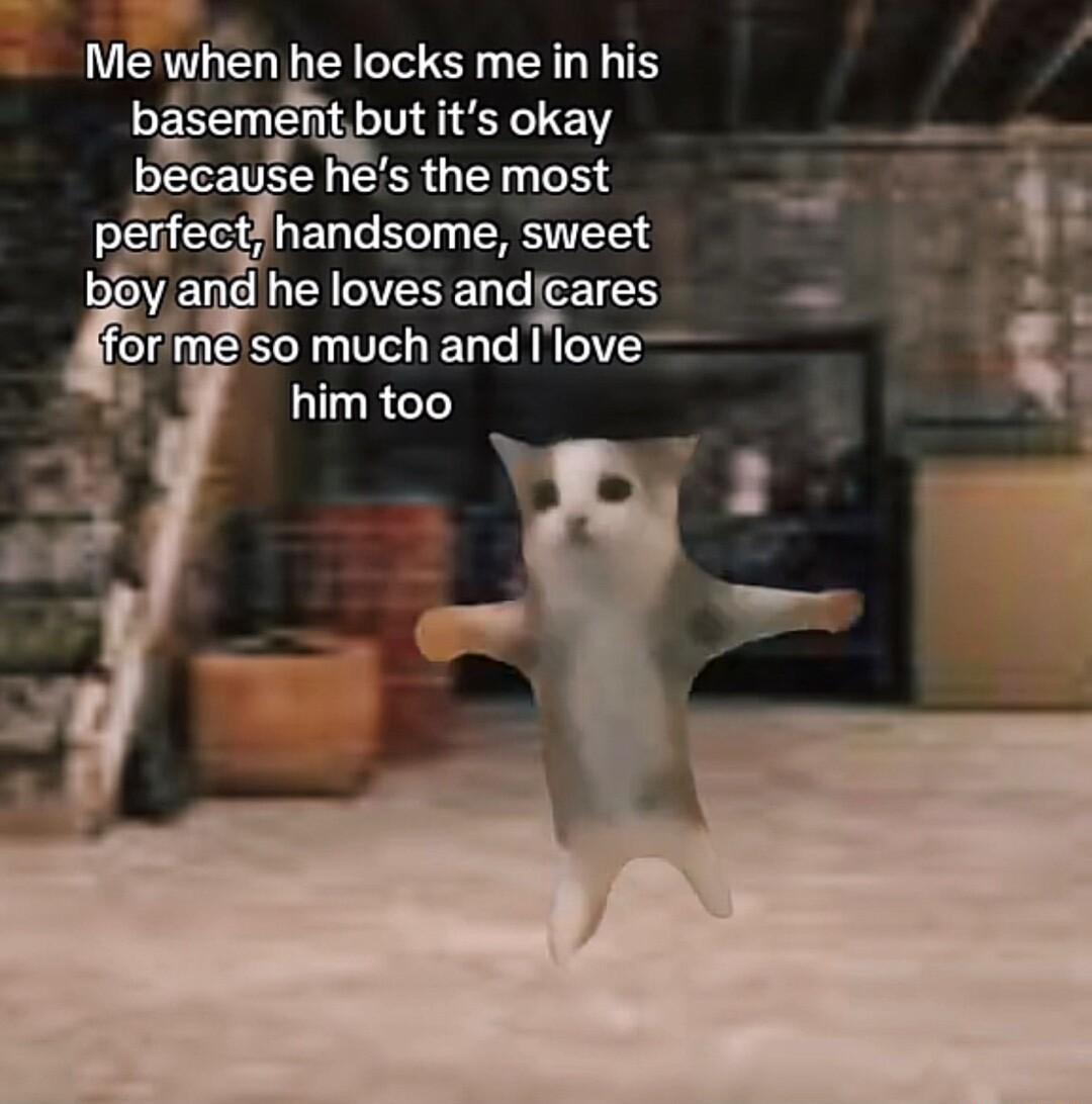 Me when he locks me in his SES 5 basementbut its okay peauges the most p_jfec handsome sweet hd he loves andgaares e so much and Ilove