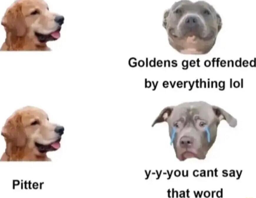 Goldens get offended by everything lol w y y you cant say Pitter