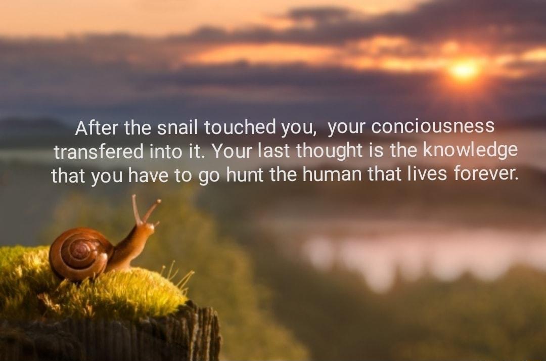 After the snail touched you your conciousness transfered into it Your last thought is thew that you have to go hunt the human that lives forever