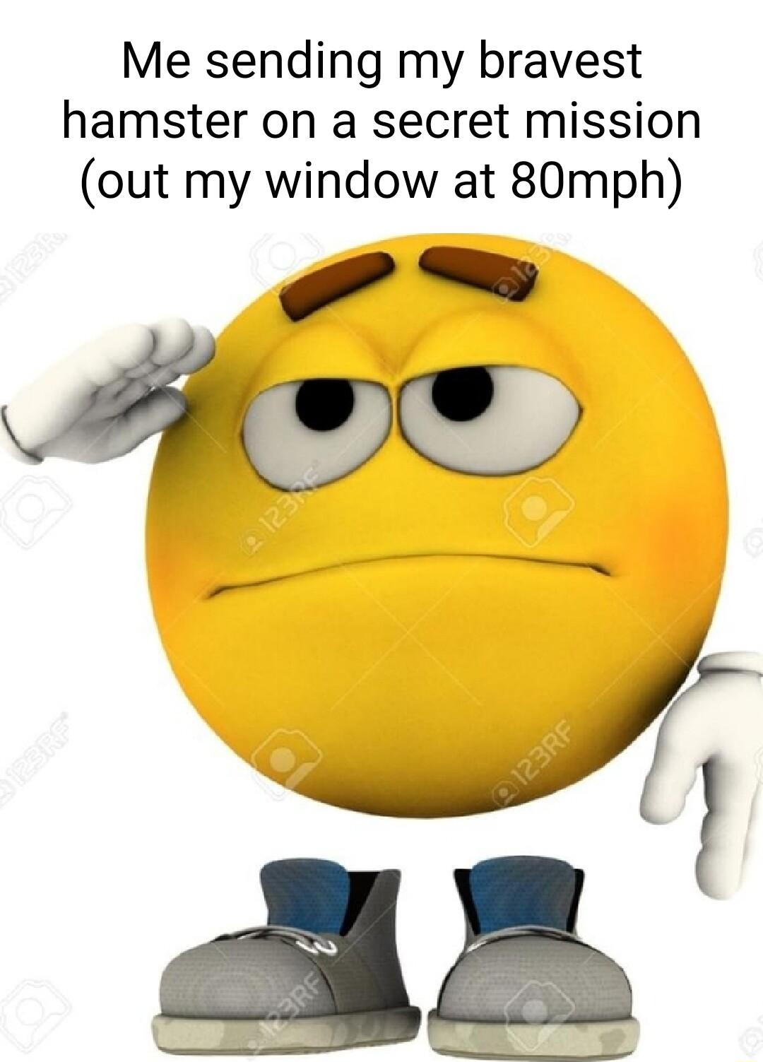 Me sending my bravest hamster on a secret mission out my window at 80mph
