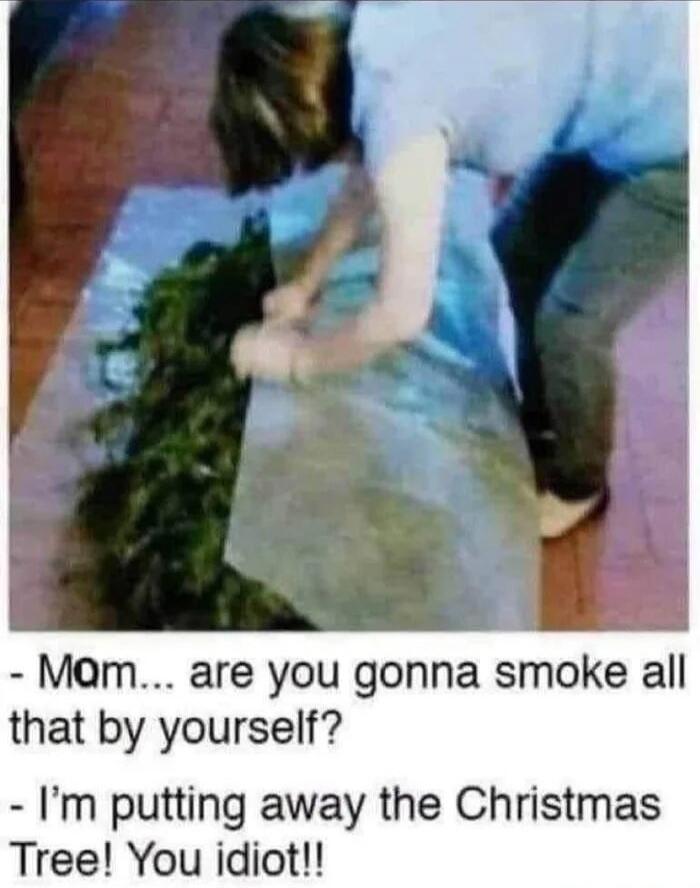 - Mom... are you gonna smoke all that by yourself?
- I’m putting away the Christmas Tree! You idiot!!