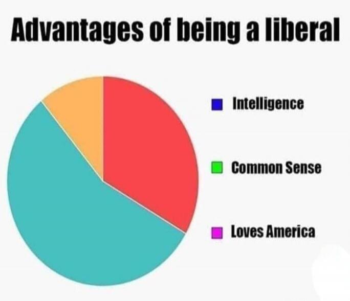 Advantages of being a liberal. Intelligence. Common Sense. Loves America.