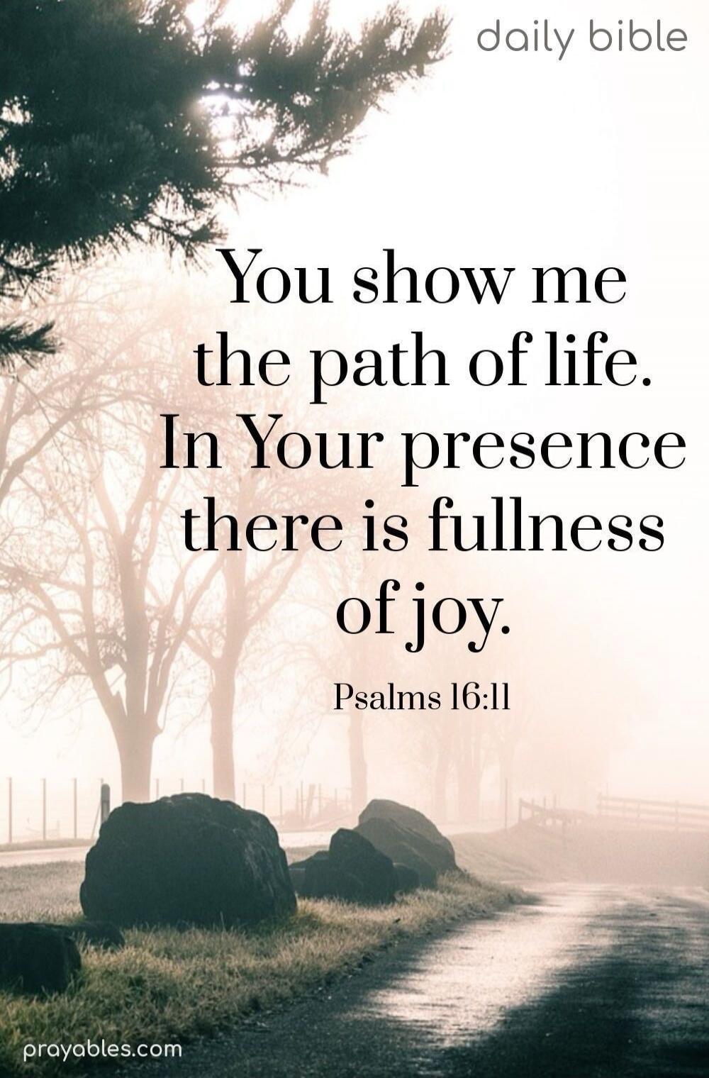 You show me the path of life. In Your presence there is fullness of joy. Psalms 16:11