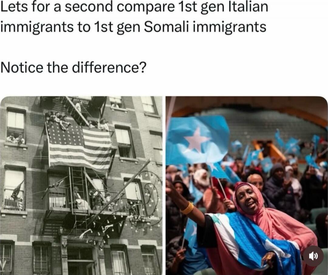 Lets for a second compare 1st gen Italian immigrants to 1st gen Somali immigrants

Notice the difference?