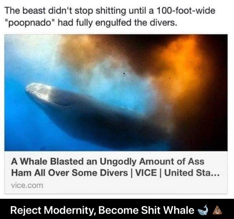 VICE The beast didnt stop shitting until a 100 foot wide poopnado had fully enguilfed the divers S A Whale Blasted an Ungodly Amount of Ass Ham All Over Some Divers VICE United Sta Reject Modernity Become Shit Whale w3