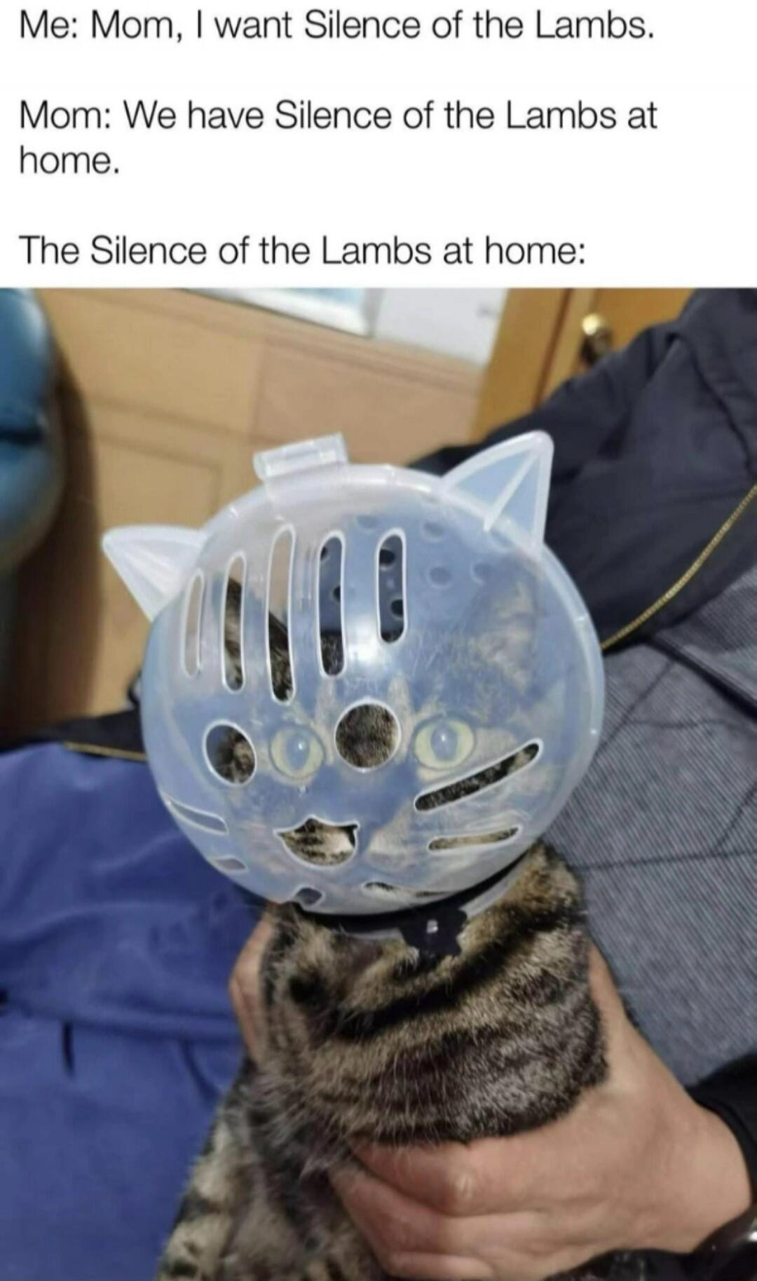 Me: Mom, I want Silence of the Lambs. Mom: We have Silence of the Lambs at home. The Silence of the Lambs at home: