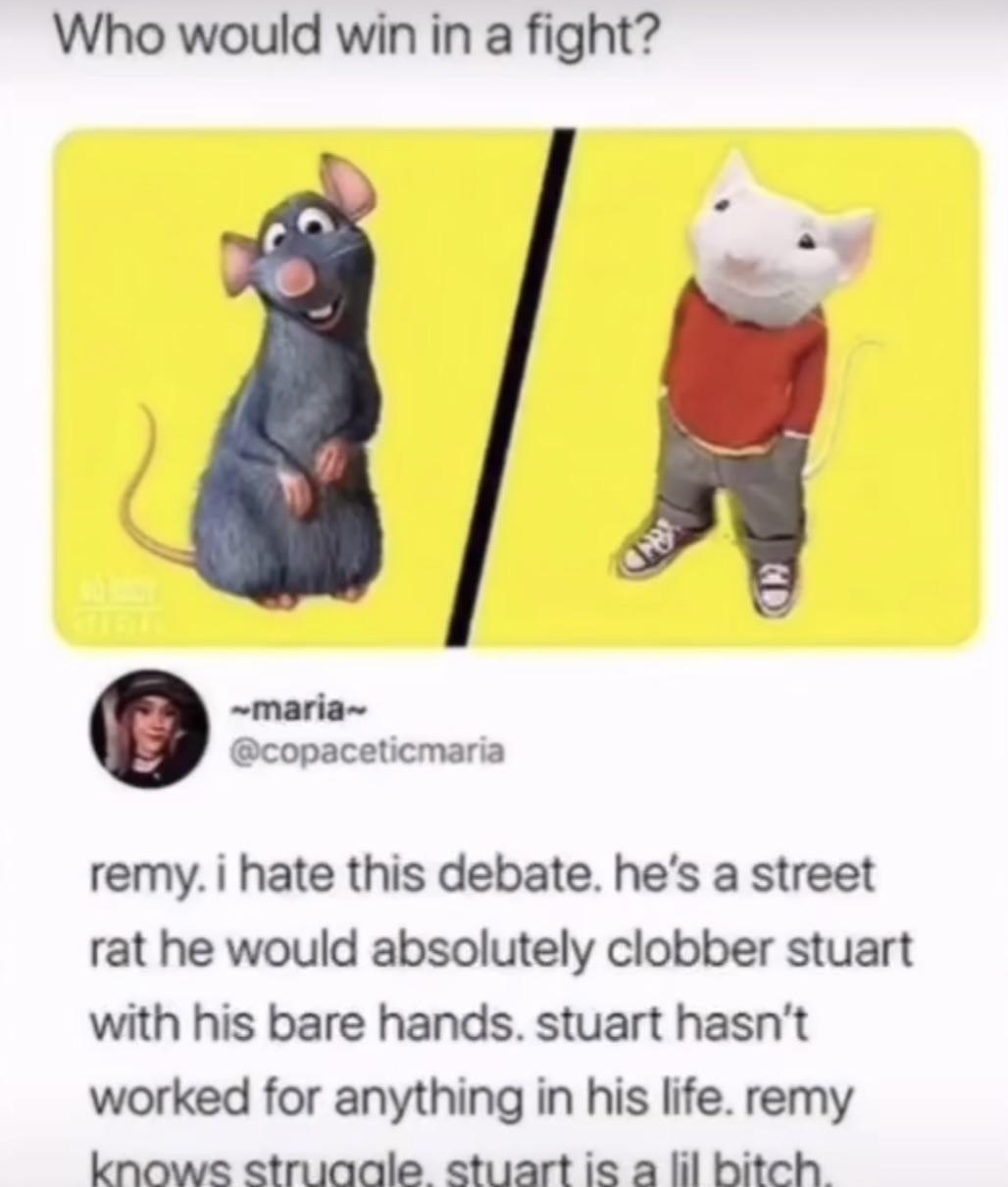 Who would win in a fight remy i hate this debate hes a street rat he would absolutely clobber stuart with his bare hands stuart hasnt worked for anything in his life remy knowe struaale stuart is a lil bitch