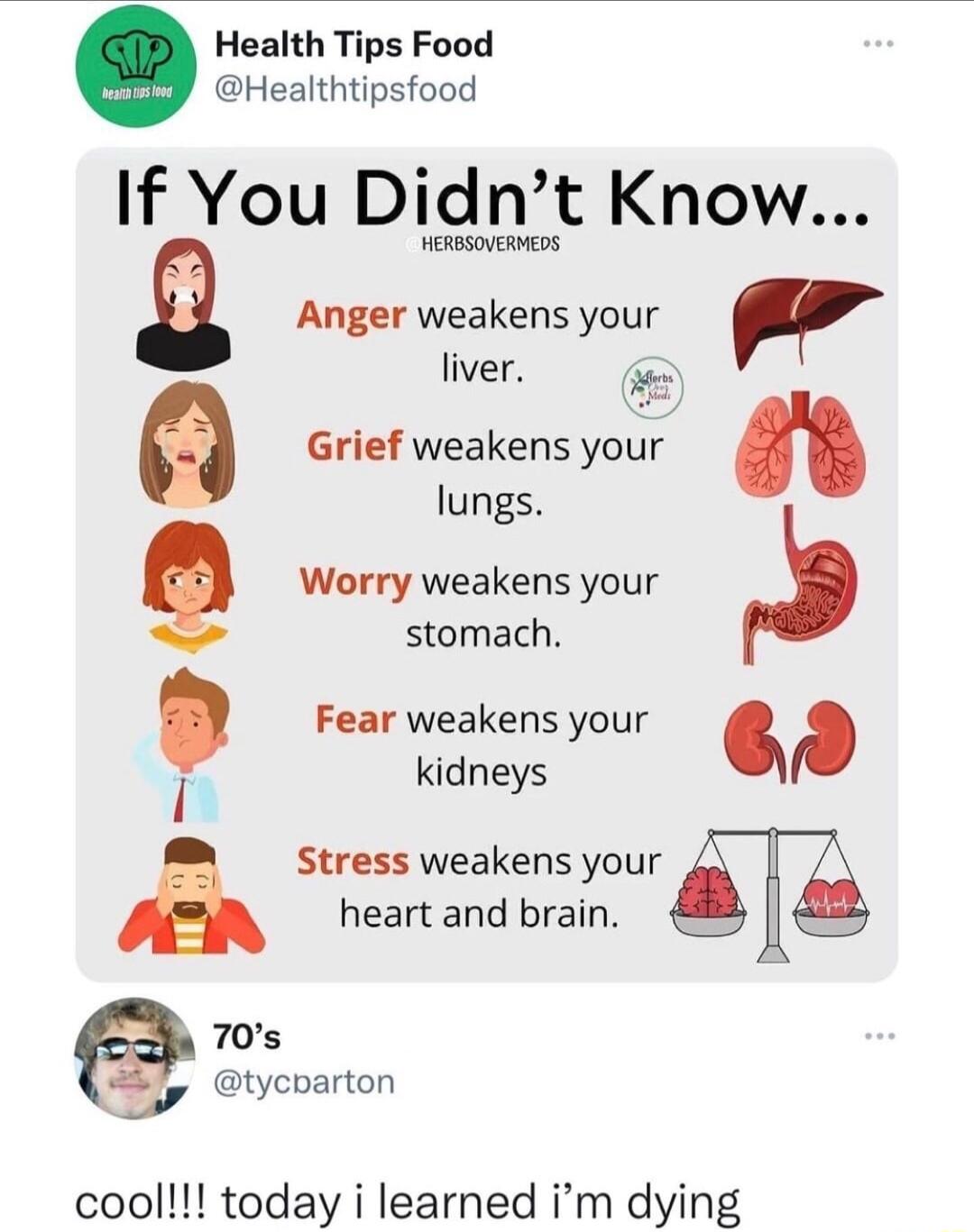 o Health Tips Food Healthtipsfood If You Didnt Know HesRSOVRHES g Anger weakens your r liver o Grief weakens your lungs Worry weakens your stomach Fear weakens your kidneys i Stress weakens your heart and brain 70s Sy tycoarton cool today i learned im dying