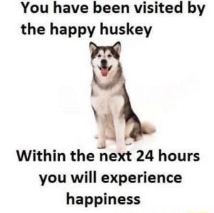 You have been visited by the happy huskey F oL Within the next 24 hours you will experience happiness