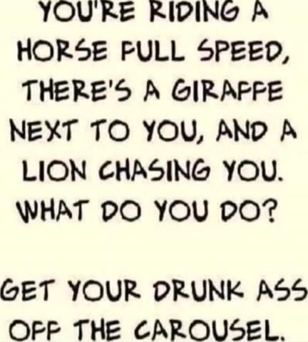 YOU'RE RIDING A HORSE FULL SPEED, THERE'S A GIRAFFE NEXT TO YOU, AND A LION CHASING YOU. WHAT DO YOU DO? GET YOUR DRUNK ASS OFF THE CAROUSEL.