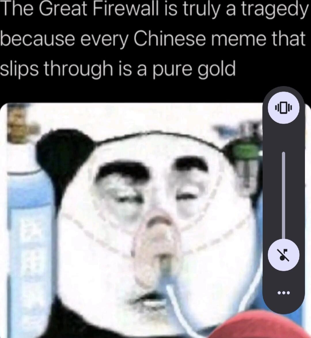 because every Chinese meme that SeiRtalgelteaRIF NolVNelolle