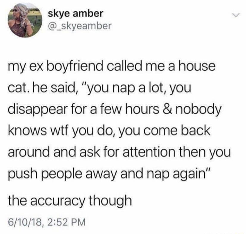 skye amber _skyeamber my ex boyfriend called me a house cat he said you nap a lot you disappear for a few hours nobody knows wtf you do you come back around and ask for attention then you push people away and nap again the accuracy though 61018 252 PM