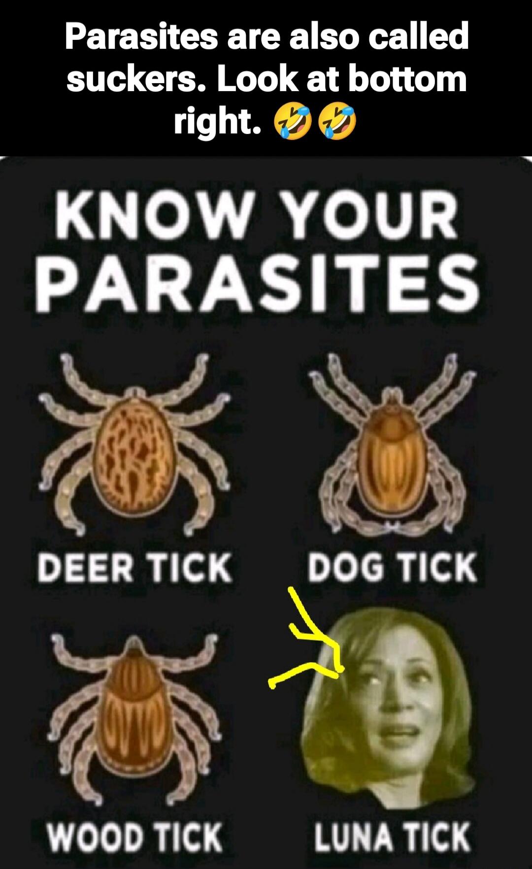 Parasites are also called suckers. Look at bottom right. 😂😂 KNOW YOUR PARASITES DEER TICK DOG TICK WOOD TICK LUNA TICK