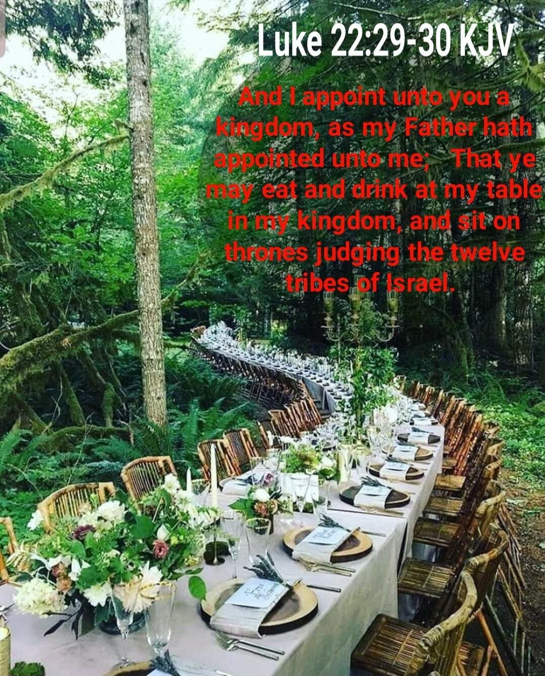 Luke 22:29-30 KJV And I appoint unto you a kingdom, as my Father hath appointed unto me, That ye may eat and drink at my table in my kingdom, and sit on thrones judging the twelve tribes of Israel.