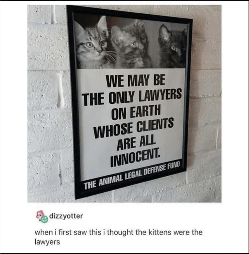 3 dizzyotter wheni first saw this i thought the kittens were the lawyers