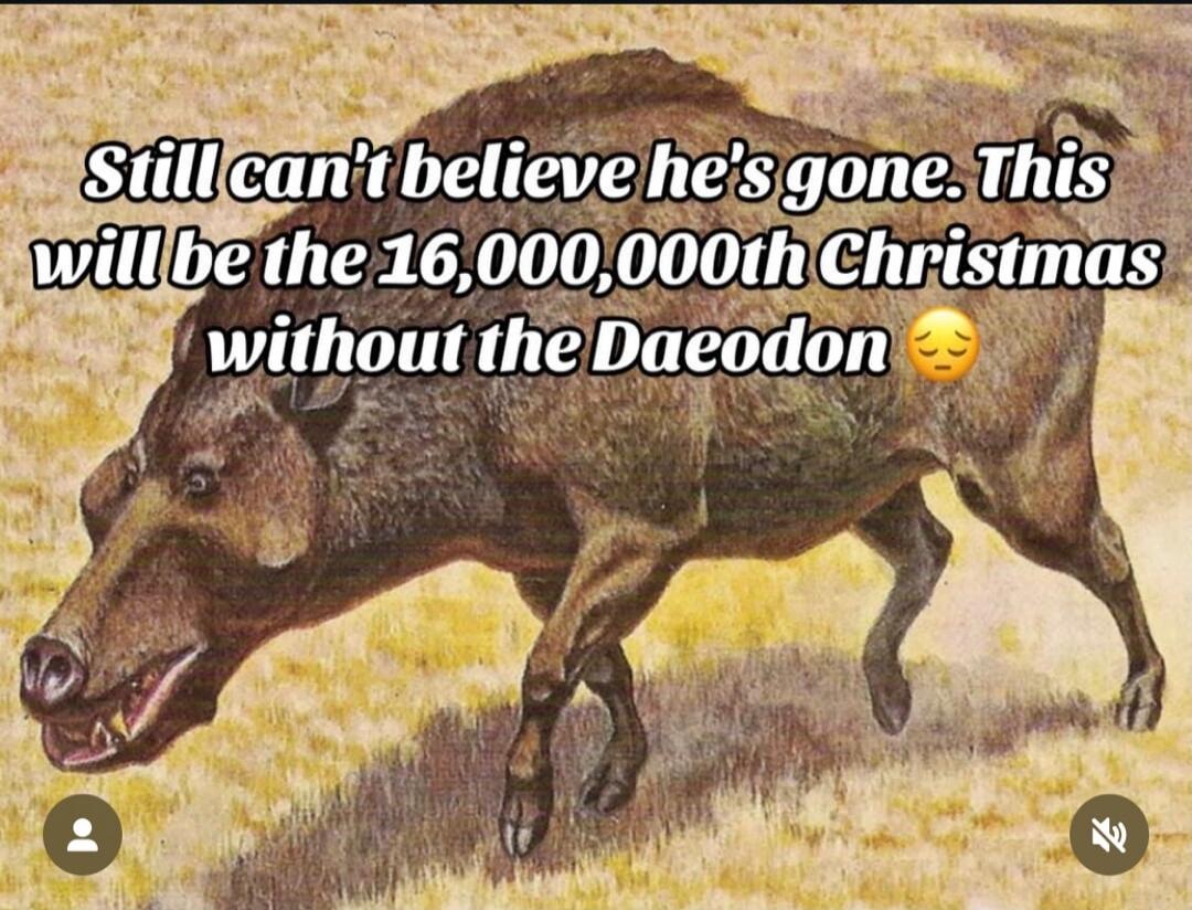 Still can't believe he's gone. This will be the 16,000,000th Christmas without the Daeodon 😔