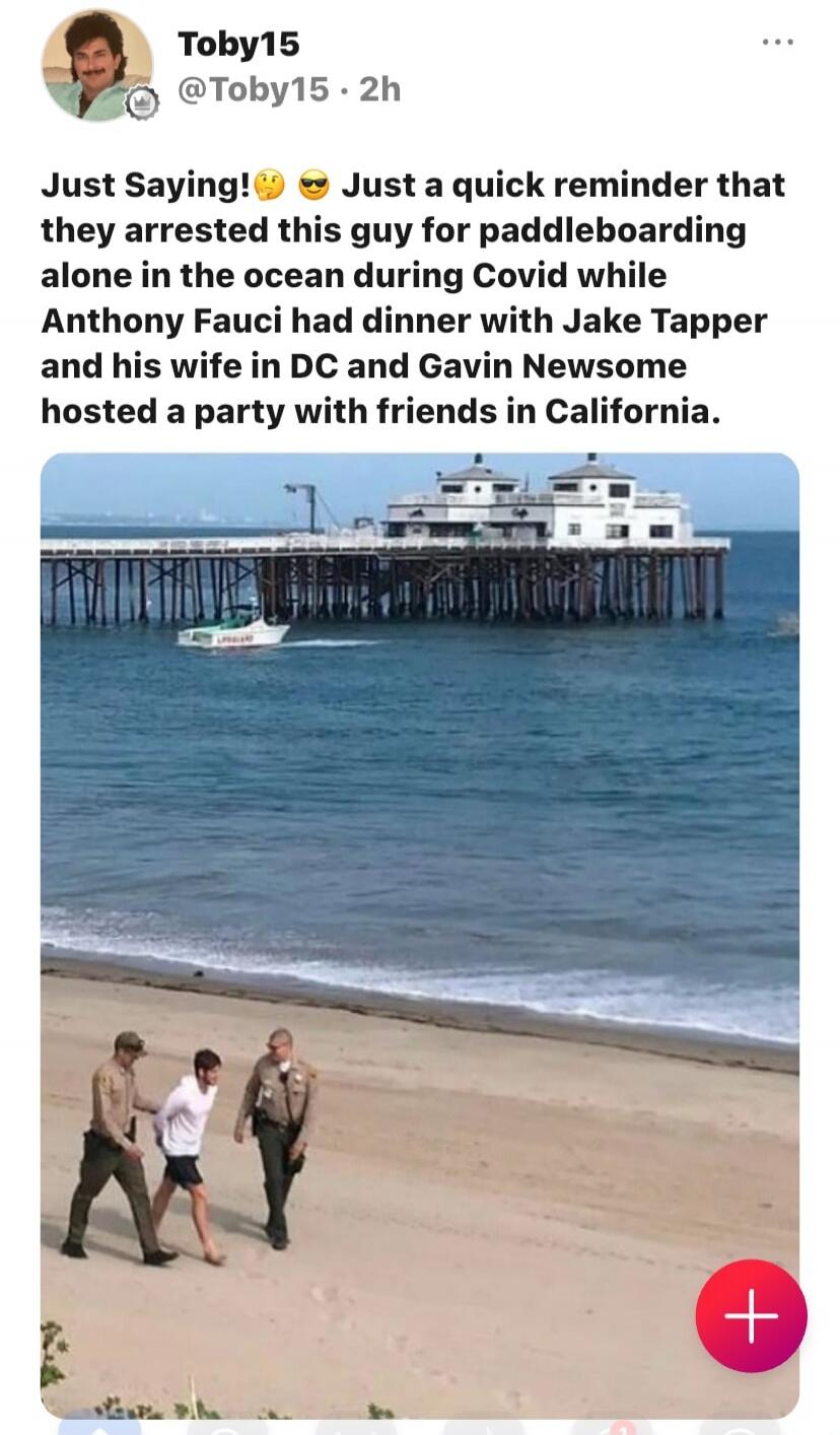 Toby15 @Toby15 • 2h Just Saying! Just a quick reminder that they arrested this guy for paddleboarding alone in the ocean during Covid while Anthony Fauci had dinner with Jake Tapper and his wife in DC and Gavin Newsom hosted a party with friends in California.