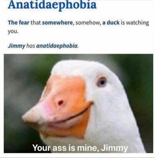 Anatidaephobia The fear that somewhere somehow a duck is watching you Jimmy has anatidaephobia