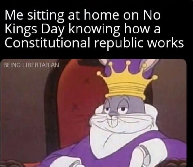 Me sitting at home on No Kings Day knowing how a Constitutional republic works. BEING LIBERTARIAN