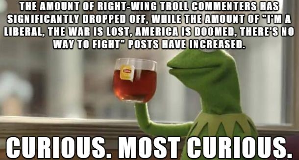 CURIOUS MOST CURIOUS