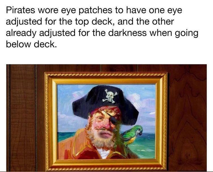 Pirates wore eye patches to have one eye adjusted for the top deck and the other already adjusted for the darkness when going below deck