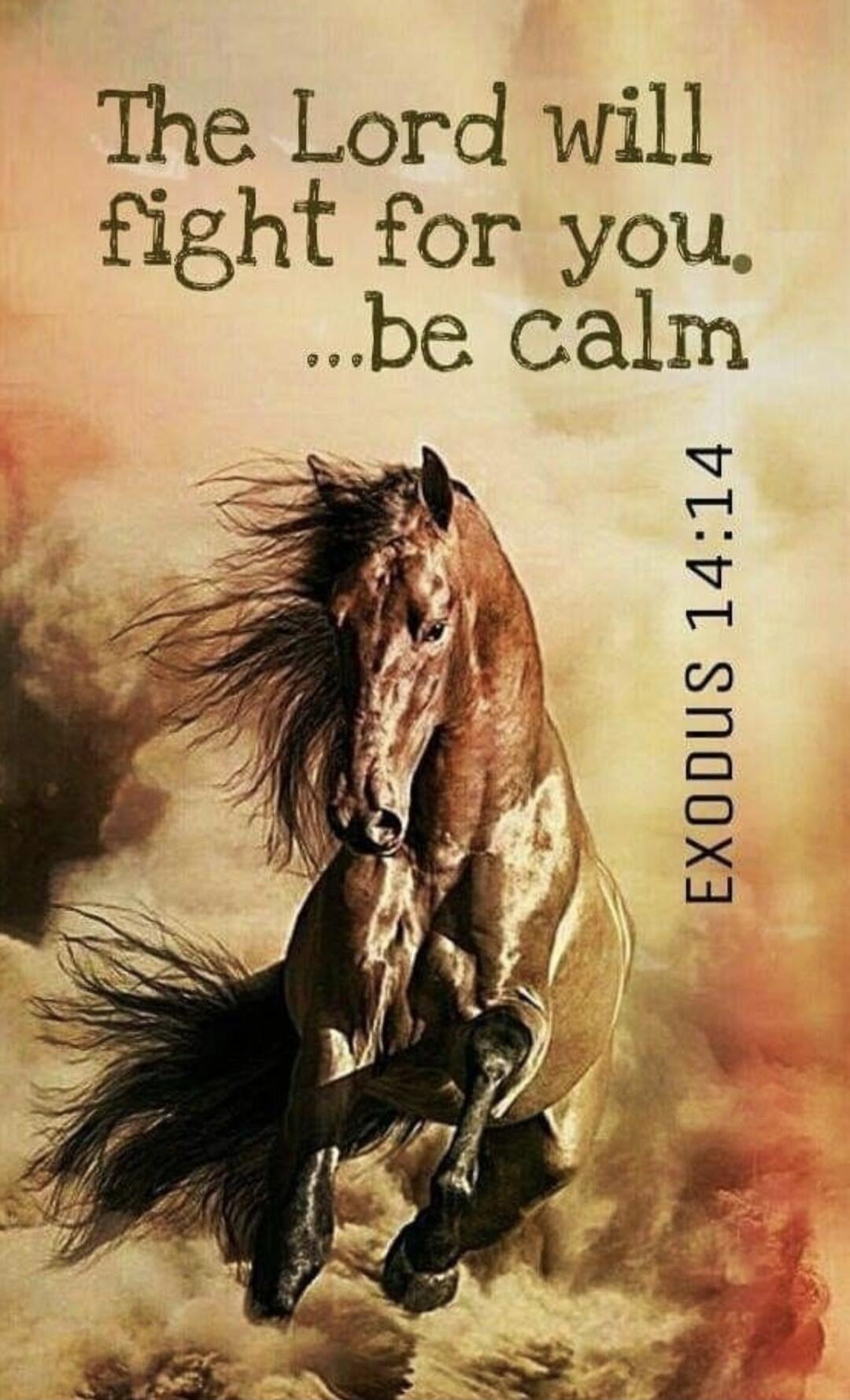 The Lord will fight for you. ...be calm EXODUS 14:14