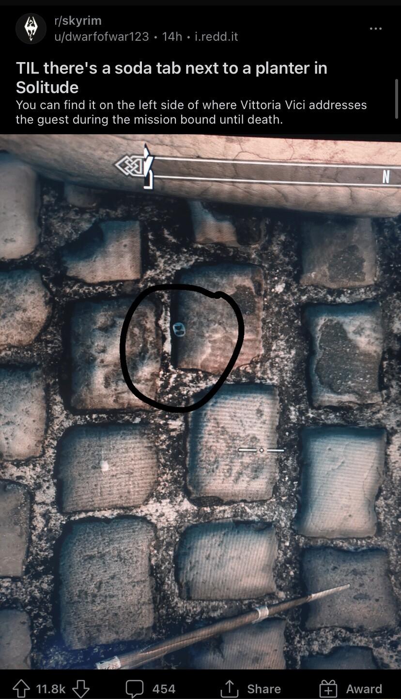 rskyrim ufdwarfofwar123 14h ireddit TIL theres a soda tab next to a planter in Solitude You can find it on the left side of where Vittoria Vici addresses the guest during the mission bound until death