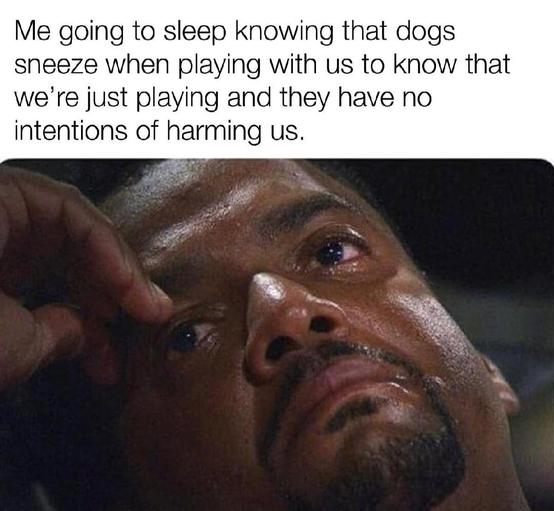 Me going to sleep knowing that dogs sneeze when playing with us to know that were just playing and they have no intentions of harming us