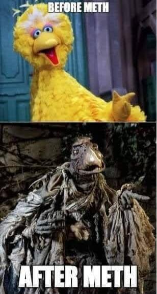 BEFORE METH AFTER METH