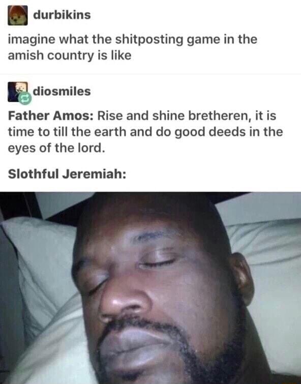 B durbiins imagine what the shitposting game in the amish country is like Ediosmiles Father Amos Rise and shine bretheren it is time to till the earth and do good deeds in the eyes of the lord Slothful Jeremiah