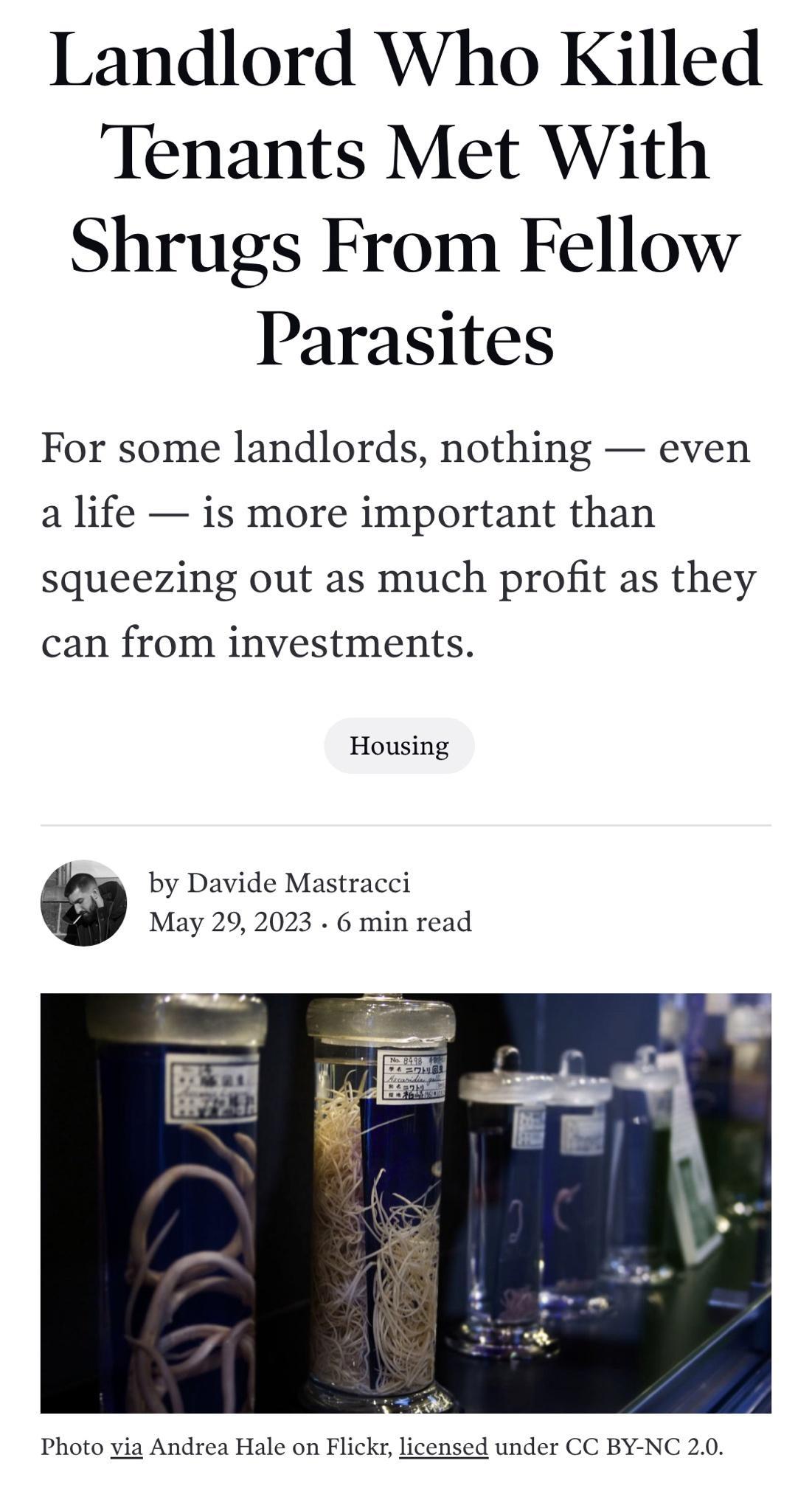 Landlord Who Killed Tenants Met With Shrugs From Fellow Parasites For some landlords nothing even a life is more important than squeezing out as much profit as they can from investments Housing y by Davide Mastracci May 29 2023 6 min read Photo via Andrea Hale on Flickr licensed under CC BY NC 20
