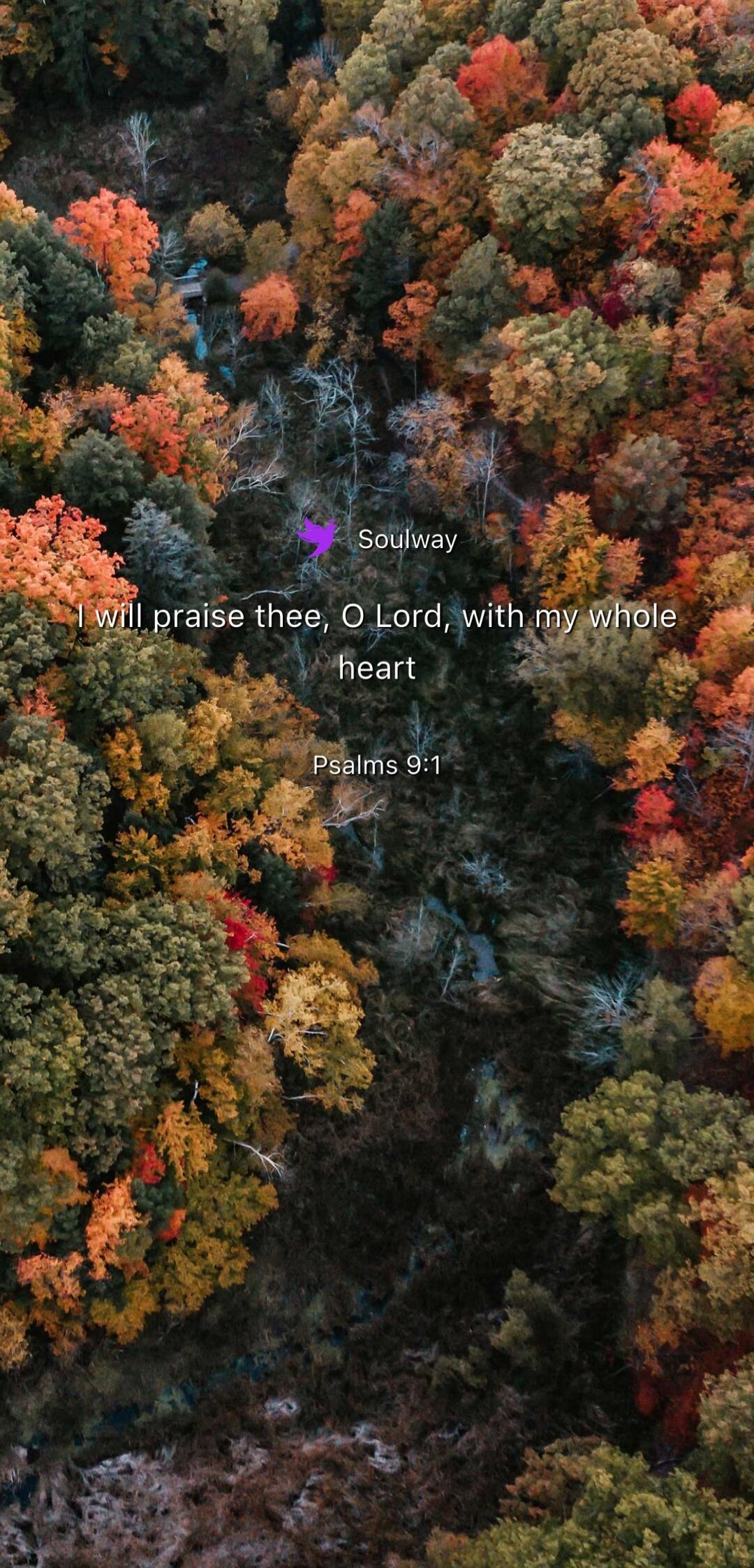 Soulway I will praise thee, O Lord, with my whole heart Psalms 9:1