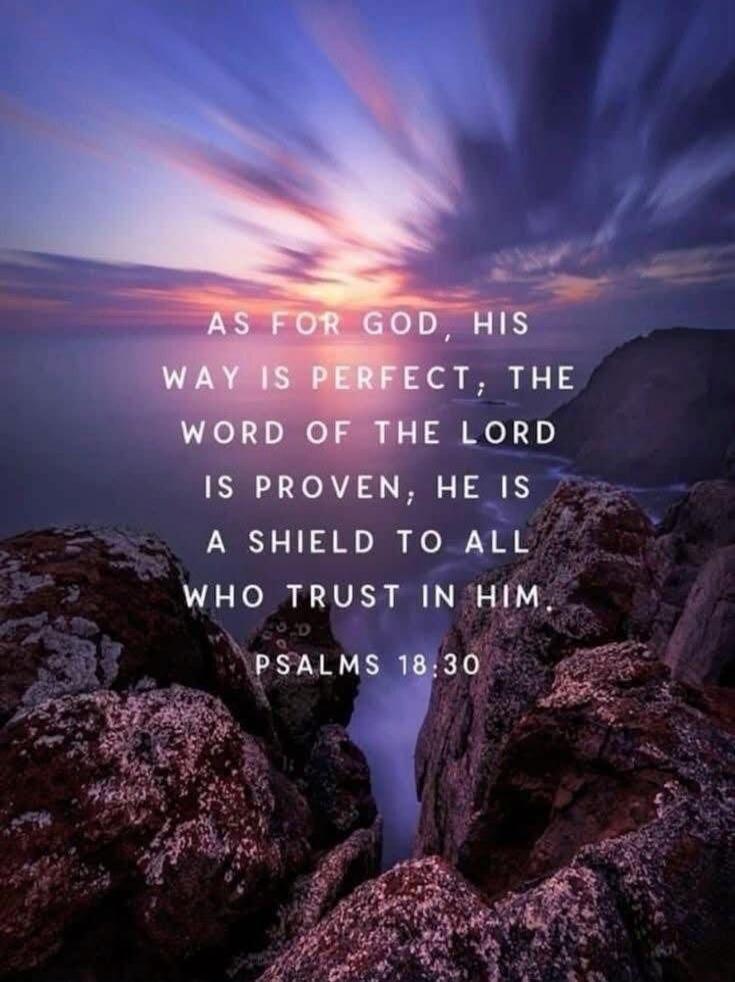 AS FOR GOD, HIS WAY IS PERFECT; THE WORD OF THE LORD IS PROVEN, HE IS A SHIELD TO ALL WHO TRUST IN HIM. PSALMS 18:30