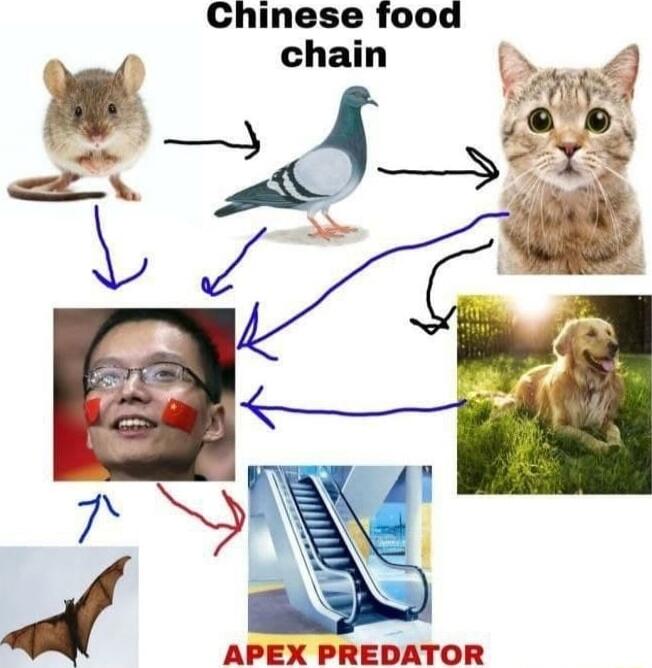 Chinese food 4 APEX PREDATOR
