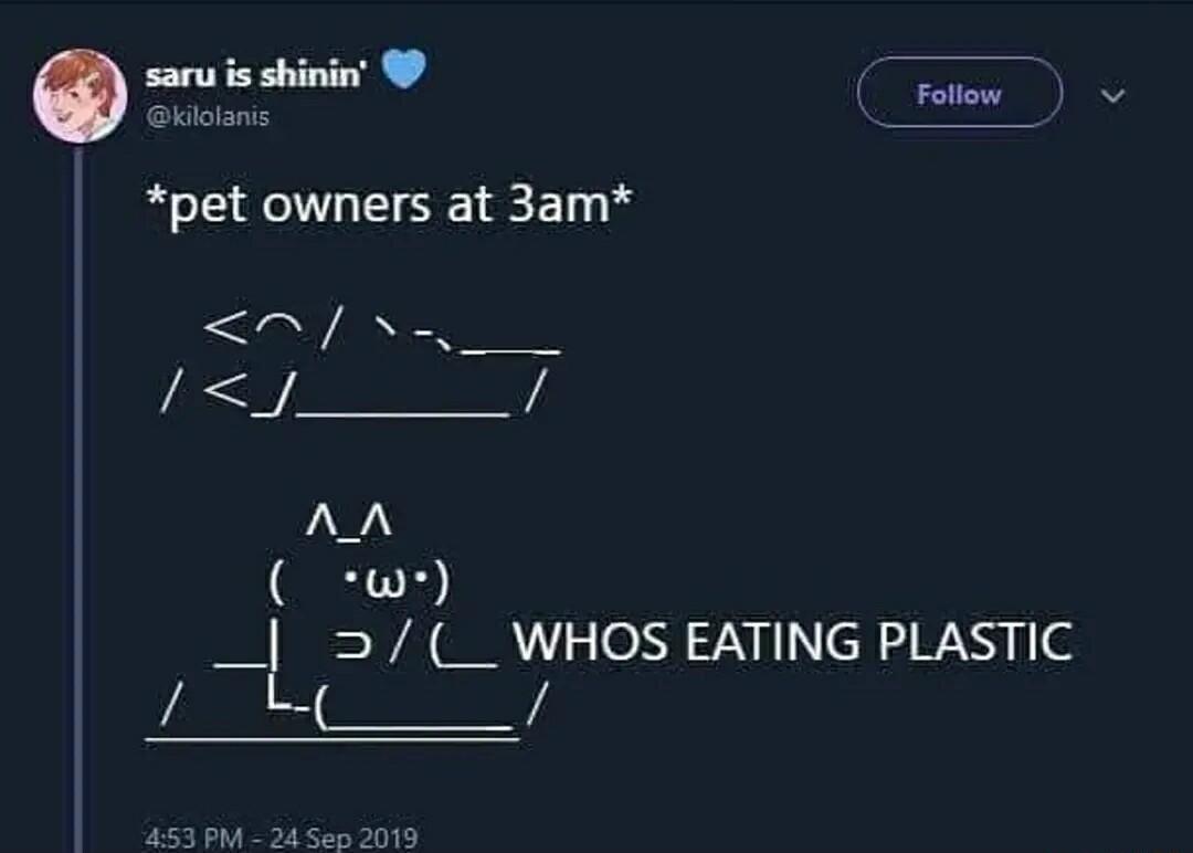 saru s shinin pet owners at 3am Ay s AN w _ _ WHOS EATING PLASTIC