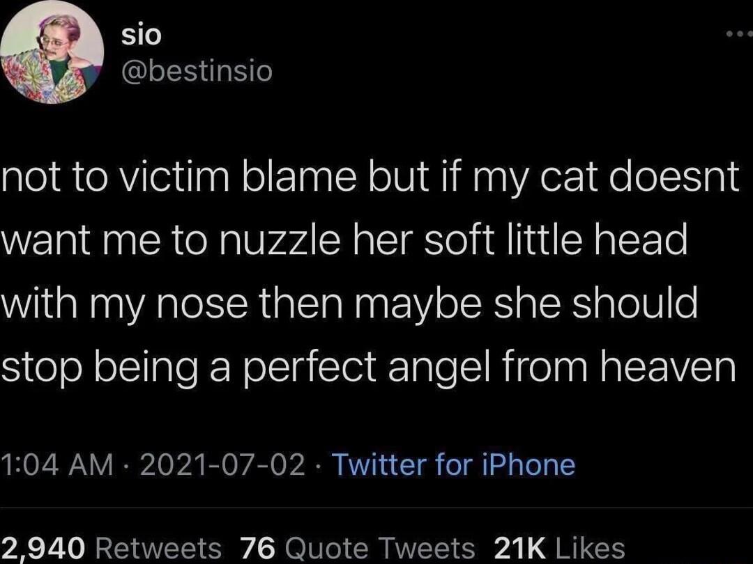 sio CLESHE not to victim blame but if my cat doesnt want me to nuzzle her soft little head with my nose then maybe she should stop being a perfect angel from heaven 104 AM 2021 07 02 Twitter for iPhone 2 940 Retweets 76 Quote Tweets 21K Likes