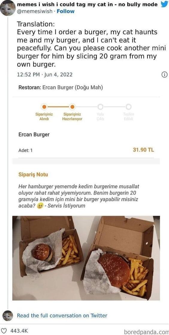 memes i wish i could tag my cat in no bully mode W memesiwish Follow Translation Every time order a burger my cat haunts me and my burger and cant eat it peacefully Can you please cook another mini burger for him by slicing 20 gram from my own burger 1252 PM Jun 4 2022 Restoran Ercan Burger Dogu Mah Sparginz Sparginiz Windi Hazadanyor Ercan Burger Adet1 3190TL Siparig Notu Her hamburger yememde ke
