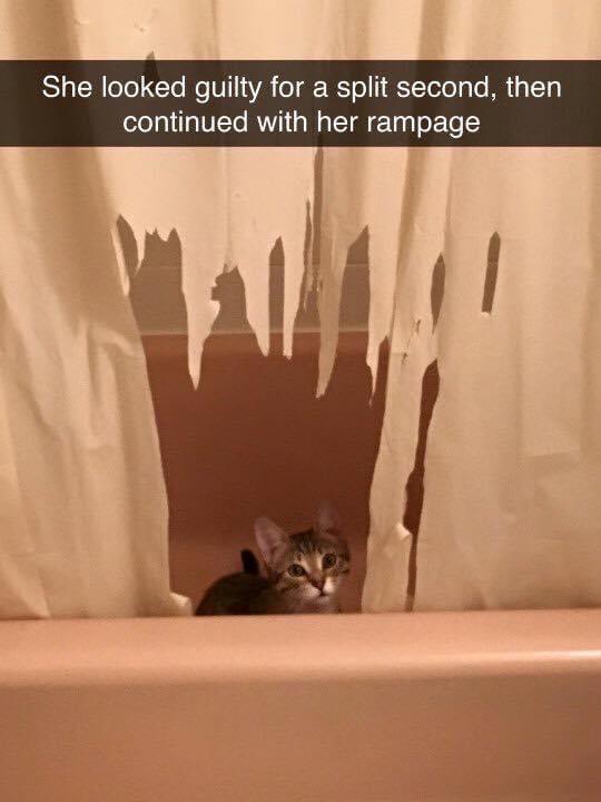 e looked guilty for a split second then continued with her rampage hll