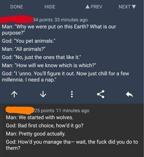 DONE HIDE A PREV Nen 4 4 points 33 minutes ago Man Why we were put on this Earth What is our purpose God You pet animals Man All animals eele B N TR IR LR GE R Man How will we know which is which God l unno Youll figure it out Now just chill for a few millennia need a nap 4 5 points 11 minutes ago Man We started with wolves God Bad first choice howd it go Man Pretty good actually God Howd you mana