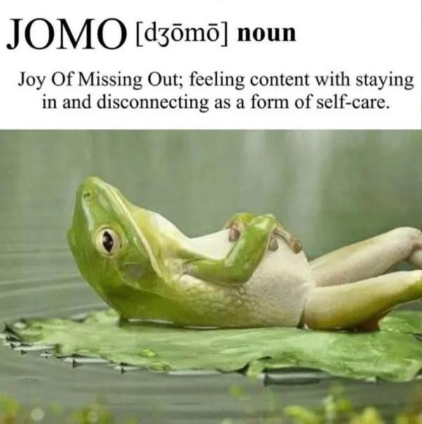 JOMUO d36md noun Joy Of Missing Out feeling content with stayi in and disconnecting as a form of self care