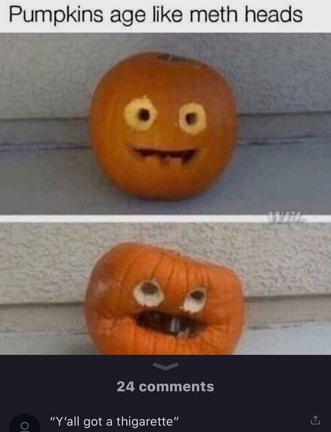 Pumpkins age like meth heads 24 comments Yall got a thigarette
