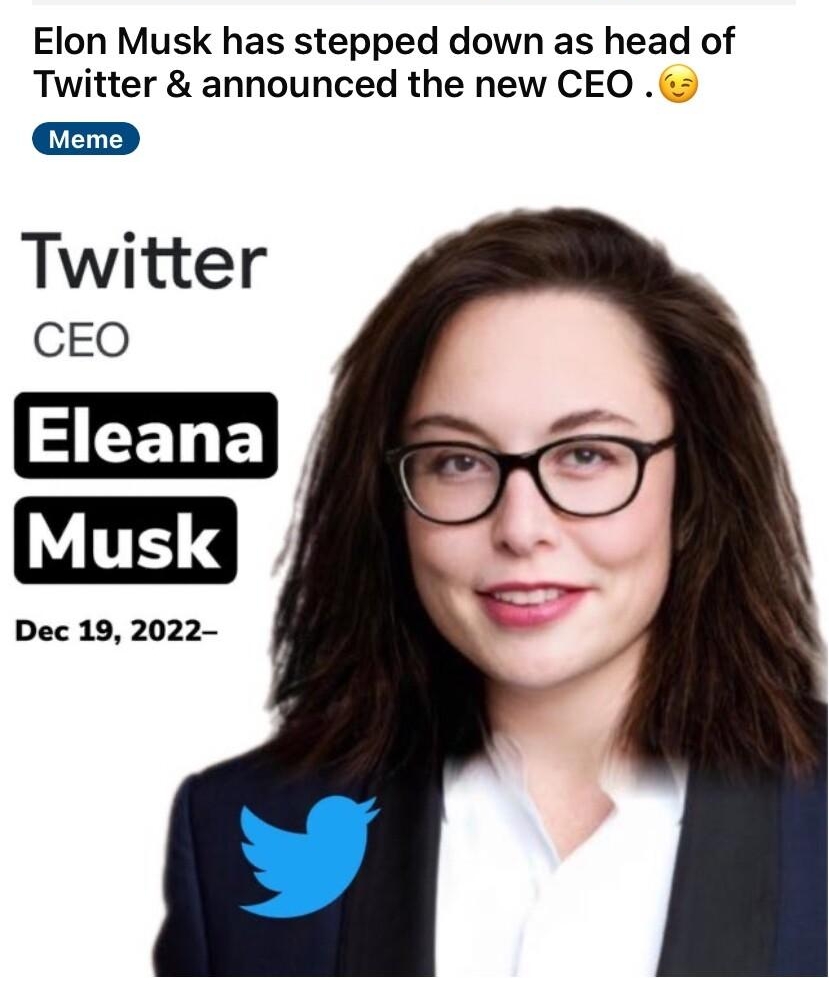 rwallstreetbets uSpecial_Yam_1174 reddit 2 1 1 82 22 B2 B Elon Musk has stepped down as head of Twitter announced the new CEO Twitter CEO Dec 19 2022 award