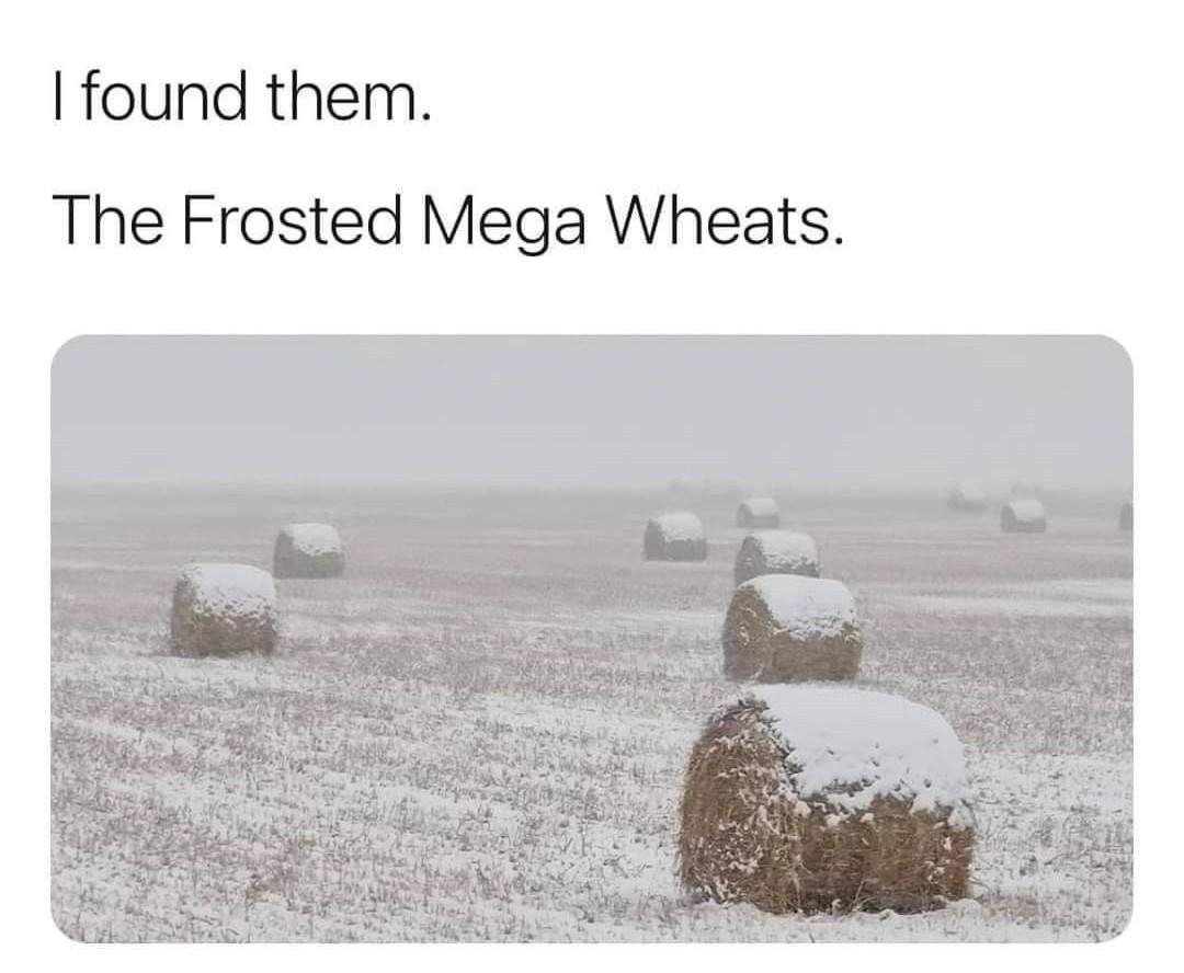 found them The Frosted Mega Wheats