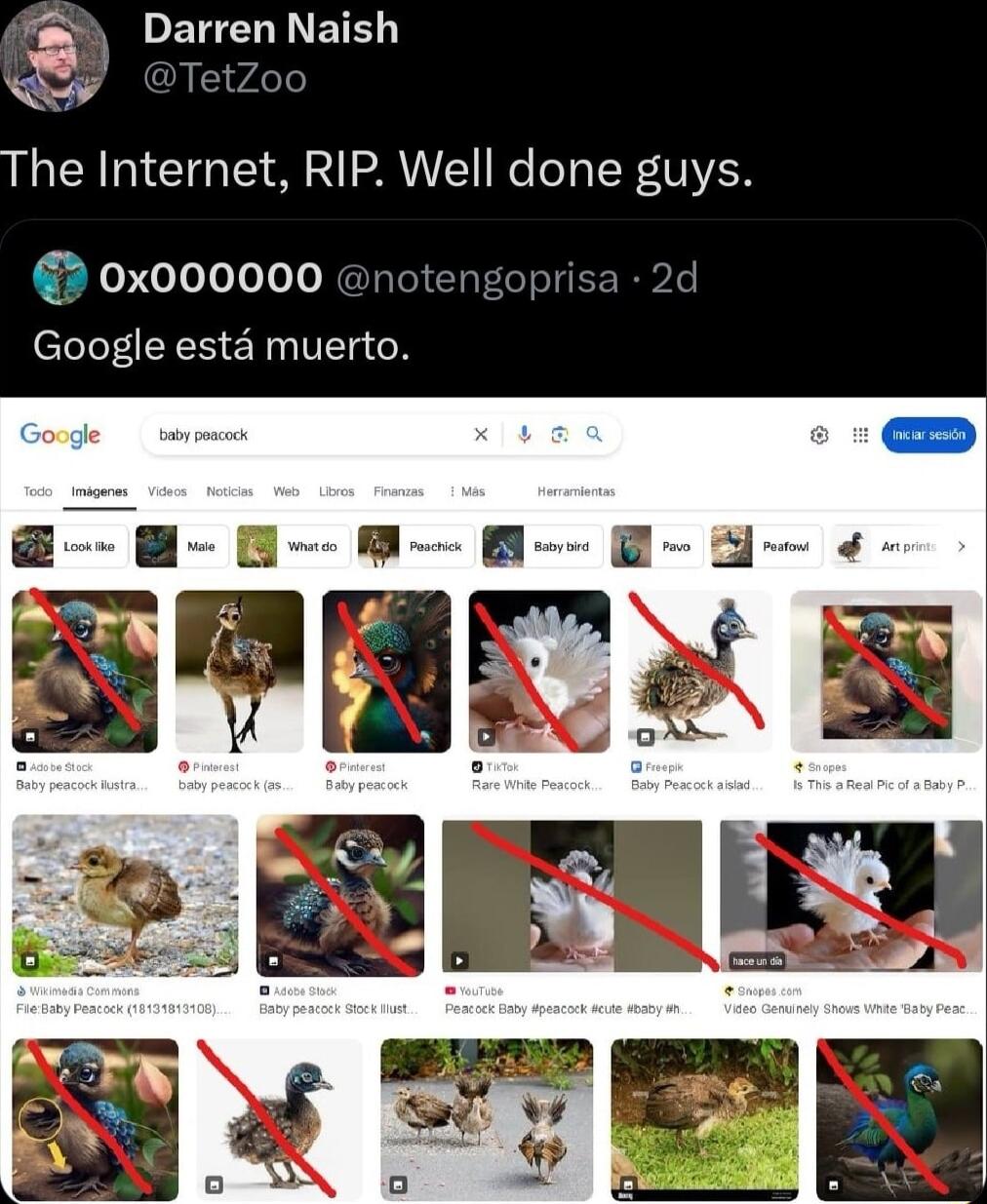 Darren Naish o The Internet RIP Well done guys 0x000000 notengoprisa Google esta muerto